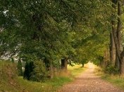 Прогноз погоды на 5 сентября: в Украине немного похолодает