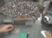 СБУ разоблачила в Днепре схему хищения госимущества (Видео)