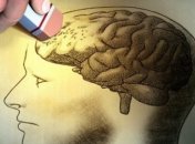 Ученые: Во время обработки информации человеческий мозг "тормозит"