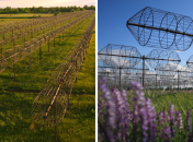 Социальные сети