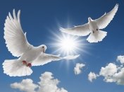 Праздник День Святого Духа в 2016 году какого числа: как празднуется Духов день после Троицы