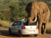 Невероятные автоприколы, которые сделают ваш день 