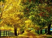 В Украину возвращается 30-градусная жара