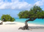 Аруба - рай для туристов