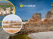 Колаж "Телеграфу"