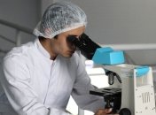 Мобильные телефоны привели к развитию раковых опухолей у крыс