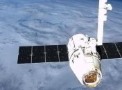 Грызуны полетели в космос на борту грузового корабля Dragon 