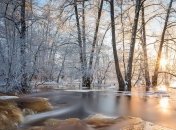 Погода в Украине на 1 февраля: на востоке и юге - без осадков