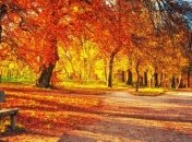 В Украину пришла настоящая осень 