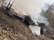 Истребитель МиГ-29 обрушился на землю в Польше