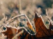 Синоптик рассказала, кого погода порадует снегом в первый день зимы