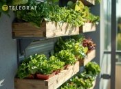 Такой сад украсит любой балкон (изображение создано с помощью ИИ)