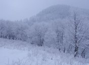 В Арабских Эмиратах продают снег к Рождеству