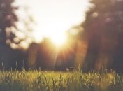 Повітря у Києві стало чистішим