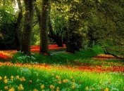 Погода в Украине 11 августа: жарко, на западе - дожди 