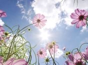 Прогноз погоды на 23 мая: выходные в Украине обещают быть жаркими