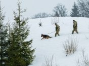 Госпогранслужба 31 декабря задержала больше 20 человек за незаконное пересечение границы