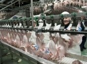 Россияне нашли в украинском мясе кишечную палочку