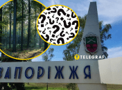 Насекомые в Запорожье