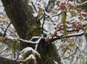 В Украине ухудшатся погодные условия