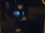 В Харькове обстреляли консульство Азербайджана: первые детали и фото ЧП