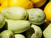 Чем подкармливать кабачки в июле