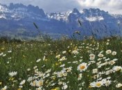 Приметы и обряды на 20 августа - День Ветрогона