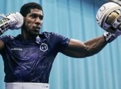 Джошуа обратился к Руису накануне боя