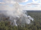 Гасіння лісової пожежі на Луганщині продовжується