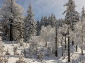 Почему опасно рождаться зимой? 