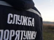 Из львовской школы эвакуировали 437 детей