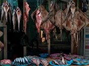 Уникальные снимки из традиционных корейских рынков (Фото)