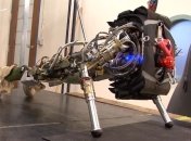 Компания продемонстрировала новую модель военного андроида