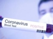 В Нидерландах растет количество зараженных на коронавирус