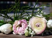 Именины (День Ангела) Светланы: значение имени и поздравления