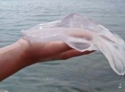 Відпочивальники у Затоці знайшли вихід із ситуації з навалою медуз, але не всім це сподобалося (відео)