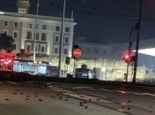 В Риме из-за новогодних фейерверков  погибли сотни птиц