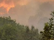 В Северной Македонии сгорели 750 га леса, полыхает в соседних Албании, Болгарии и Косово - есть жертвы (фото, видео) 