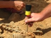 Ученые не поверили своим глазам, обнаружив такую находку