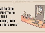 Просыпайтесь с улыбкой: утренние анекдоты 23 августа