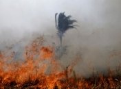 Страны G7 помогут Бразилии с тушением лесных пожаров в Амазонии