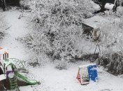 Зиму ждали? Киев засыпало снегом (Фото, Видео)