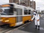 В Венгрии ожидают пик эпидемии коронавируса