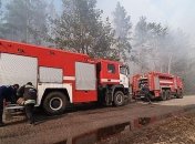 Пожары в Чернобыльской зоне и в Житомирской области локализованы