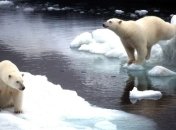 WSJ: На Аляске обнаружены новые месторождения нефти