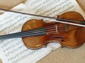 Эксперт по вопросам скрипок Страдивари может попасть в тюрьму