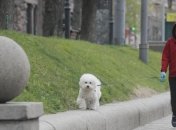 Коронавирус: Садовый призвал глав городов Украины поддержать медработников