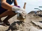 Британские ученые обнаружили удивительную находку