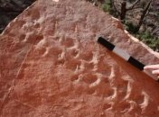 Ученые обнаружили древние отпечатки следов предшественника динозавров