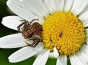 День Мефодия: народные приметы и запреты 3 июля